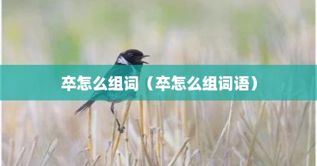 卒怎么组词（卒怎么组词语）