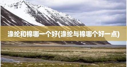 涤纶和棉哪一个好(涤纶与棉哪个好一点)