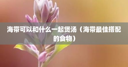 海带可以和什么一起煲汤（海带最佳搭配的食物）