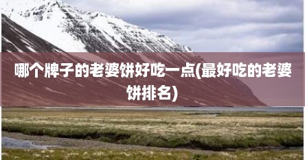 哪个牌子的老婆饼好吃一点(最好吃的老婆饼排名)