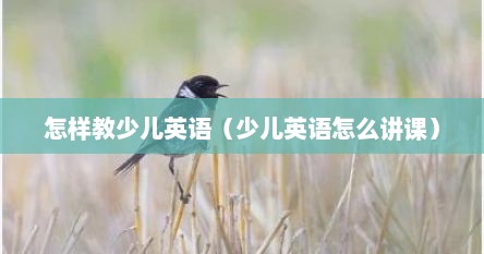 怎样教少儿英语（少儿英语怎么讲课）