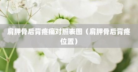 肩胛骨后背疼痛对照表图（肩胛骨后背疼位置）