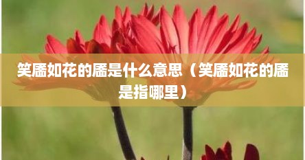 笑靥如花的靥是什么意思（笑靥如花的靥是指哪里）