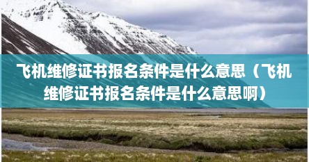 飞机维修证书报名条件是什么意思（飞机维修证书报名条件是什么意思啊）