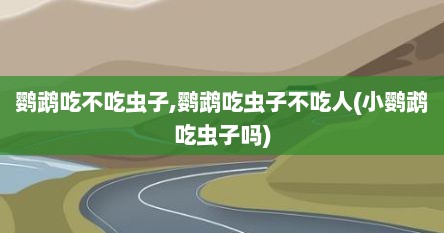 鹦鹉吃不吃虫子,鹦鹉吃虫子不吃人(小鹦鹉吃虫子吗)