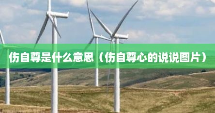 伤自尊是什么意思（伤自尊心的说说图片）