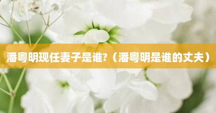潘粤明现任妻子是谁?（潘粤明是谁的丈夫）