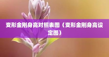 变形金刚身高对照表图（变形金刚身高设定图）