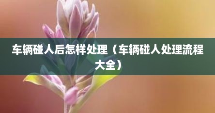 车辆碰人后怎样处理（车辆碰人处理流程大全）