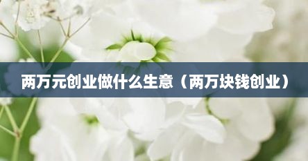 两万元创业做什么生意（两万块钱创业）
