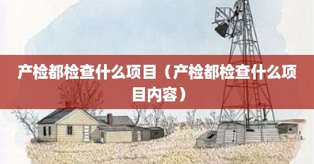 产检都检查什么项目（产检都检查什么项目内容）