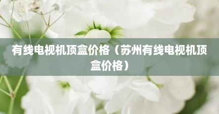 有线电视机顶盒价格（苏州有线电视机顶盒价格）