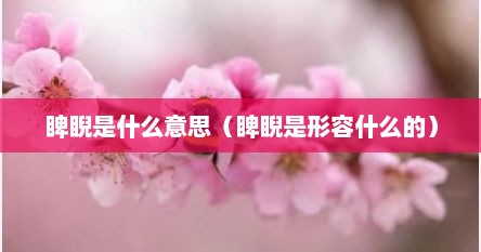 睥睨是什么意思（睥睨是形容什么的）