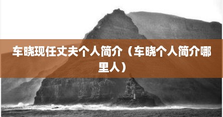 车晓现任丈夫个人简介（车晓个人简介哪里人）