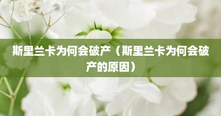 斯里兰卡为何会破产（斯里兰卡为何会破产的原因）