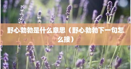 野心勃勃是什么意思（野心勃勃下一句怎么接）