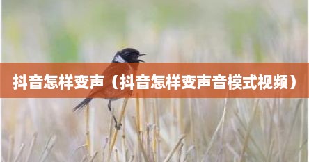 抖音怎样变声（抖音怎样变声音模式视频）