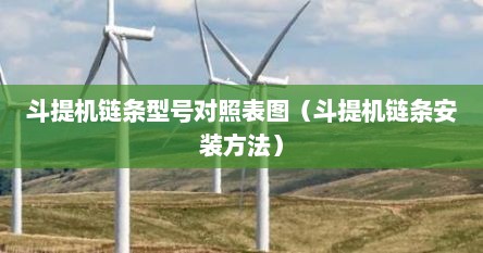 斗提机链条型号对照表图（斗提机链条安装方法）