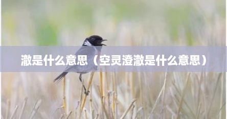 澈是什么意思（空灵澄澈是什么意思）