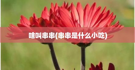 啥叫串串(串串是什么小吃)