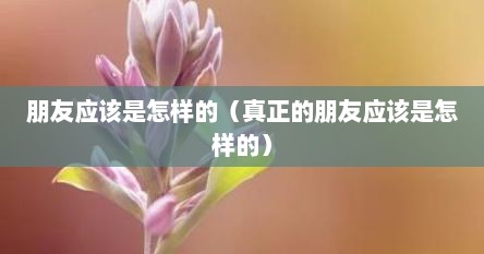 朋友应该是怎样的（真正的朋友应该是怎样的）