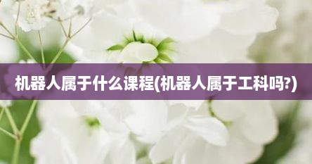 机器人属于什么课程(机器人属于工科吗?)