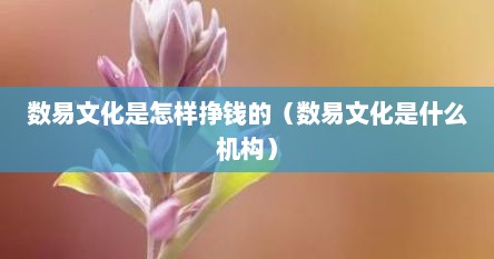 数易文化是怎样挣钱的（数易文化是什么机构）