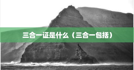 三合一证是什么（三合一包括）