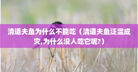 清道夫鱼为什么不能吃（清道夫鱼泛滥成灾,为什么没人吃它呢?）