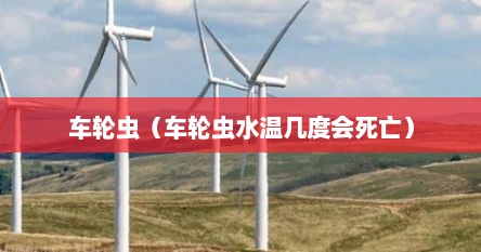 车轮虫（车轮虫水温几度会死亡）
