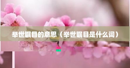 举世瞩目的意思（举世瞩目是什么词）