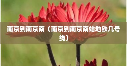 南京到南京南（南京到南京南站地铁几号线）