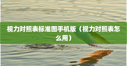 视力对照表标准图手机版（视力对照表怎么用）