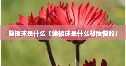 篮板球是什么（篮板球是什么材质做的）