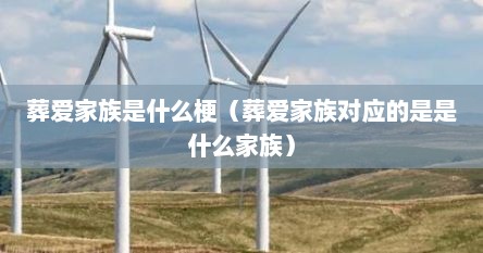 葬爱家族是什么梗（葬爱家族对应的是是什么家族）