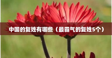 中国的复姓有哪些（最霸气的复姓5个）