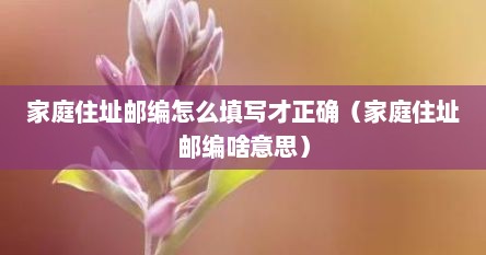 家庭住址邮编怎么填写才正确（家庭住址邮编啥意思）