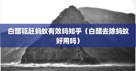 白醋驱赶蚂蚁有效吗知乎（白醋去除蚂蚁好用吗）