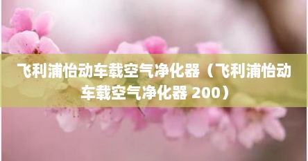 飞利浦怡动车载空气净化器（飞利浦怡动车载空气净化器 200）