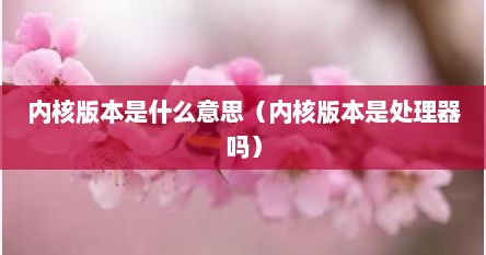 内核版本是什么意思（内核版本是处理器吗）