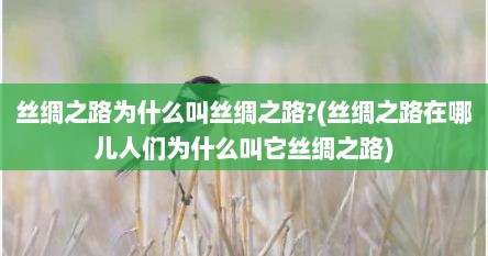 丝绸之路为什么叫丝绸之路?(丝绸之路在哪儿人们为什么叫它丝绸之路)