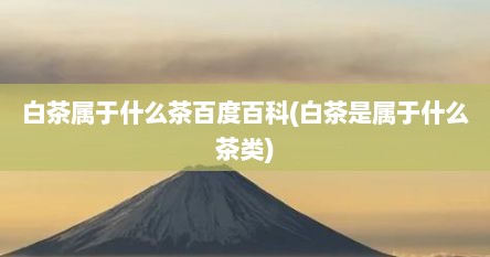白茶属于什么茶百度百科(白茶是属于什么茶类)