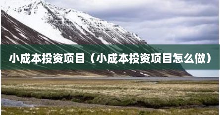 小成本投资项目（小成本投资项目怎么做）