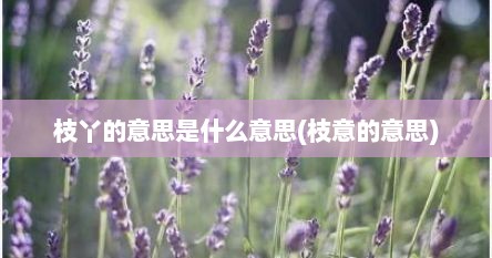 枝丫的意思是什么意思(枝意的意思)