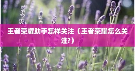 王者荣耀助手怎样关注（王者荣耀怎么关注?）