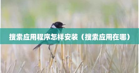 搜索应用程序怎样安装（搜索应用在哪）