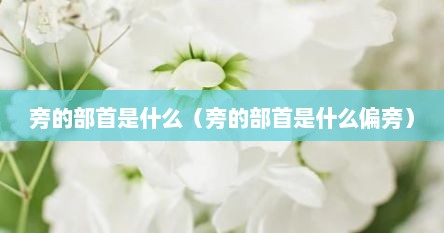 旁的部首是什么（旁的部首是什么偏旁）