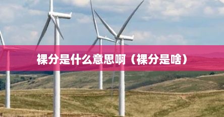 裸分是什么意思啊（裸分是啥）