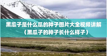 黑瓜子是什么瓜的种子图片大全视频讲解（黑瓜子的种子长什么样子）