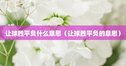 让球胜平负什么意思（让球胜平负的意思）